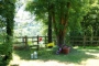 Jardines con sombra natural